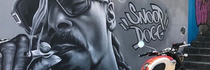 coeguido's profile banner image