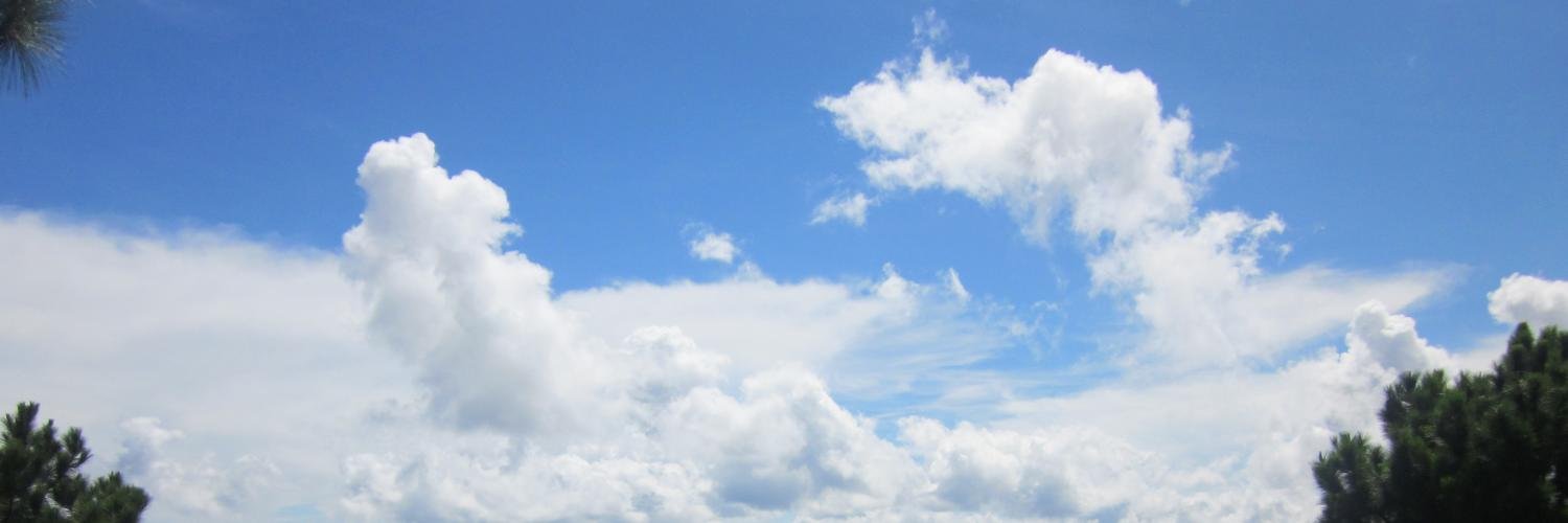liloHien's profile banner image