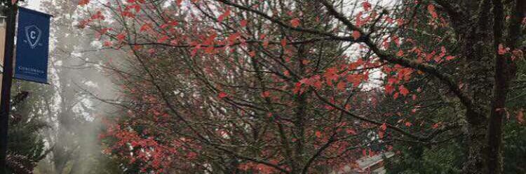ab__od0's profile banner image