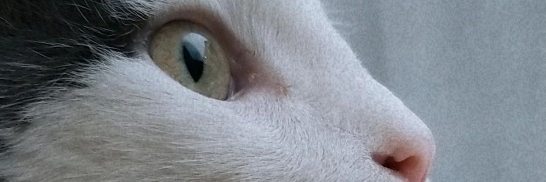 _7hera's profile banner image