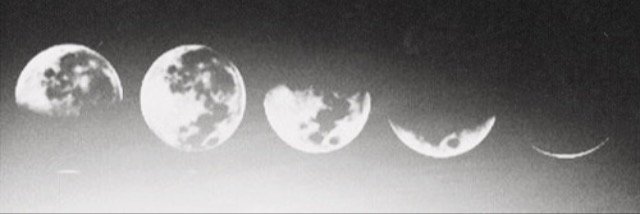 DamonColeHA's profile banner image