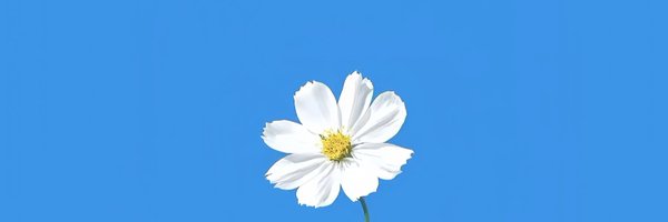 malacatemalaca1's profile banner image