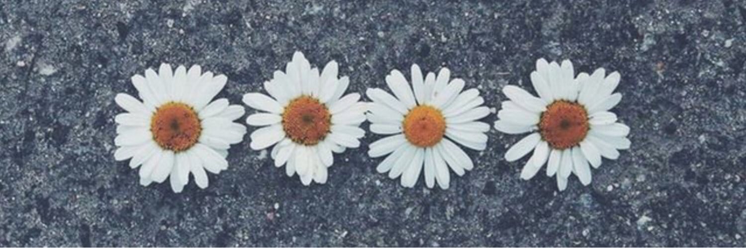 mervekndmr's profile banner image