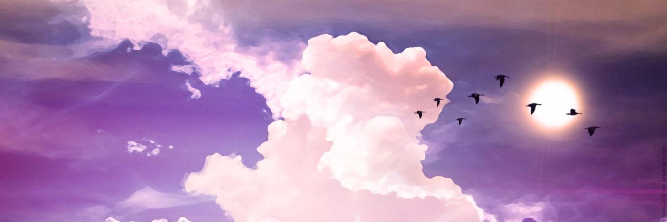 anveide's profile banner image