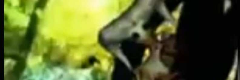 NapVertx4's profile banner image