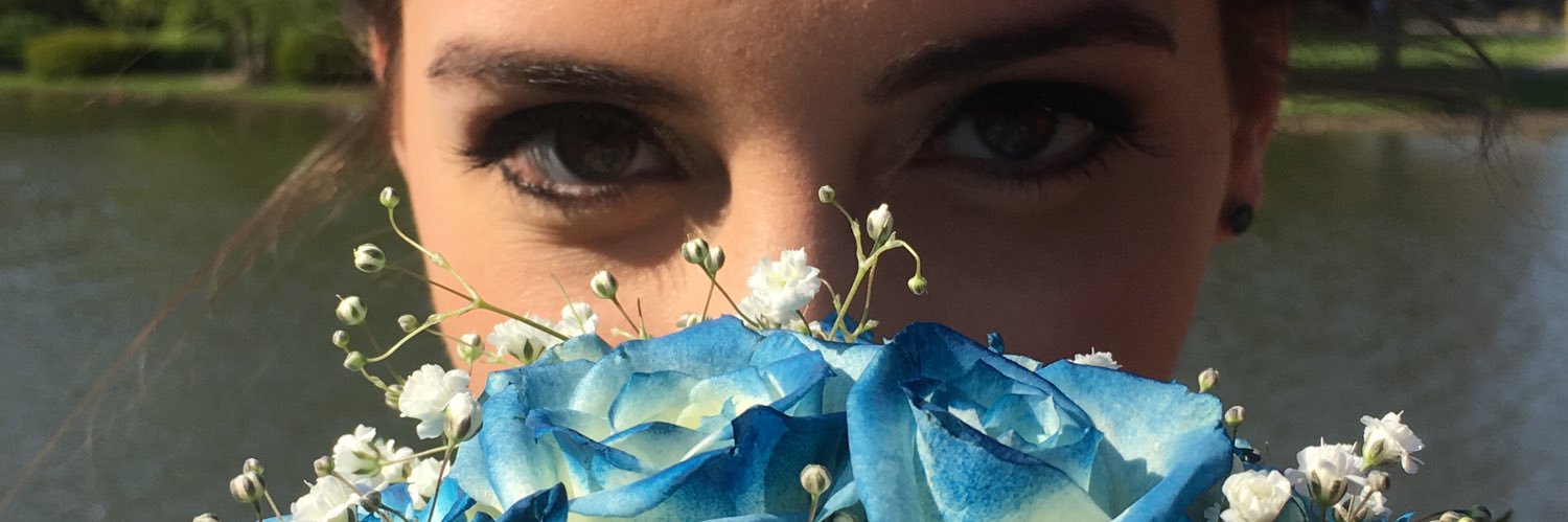AmIWrightLadies's profile banner image