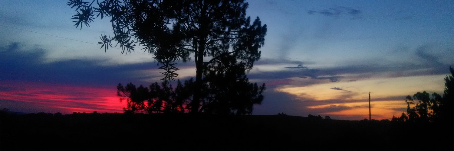 eulaurmoreira's profile banner image