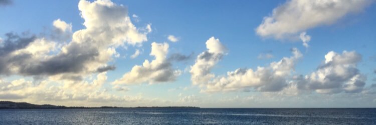 pharrry's profile banner image