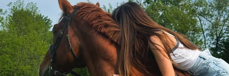 __Laura318's profile banner image