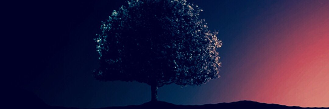 Adriants12's profile banner image