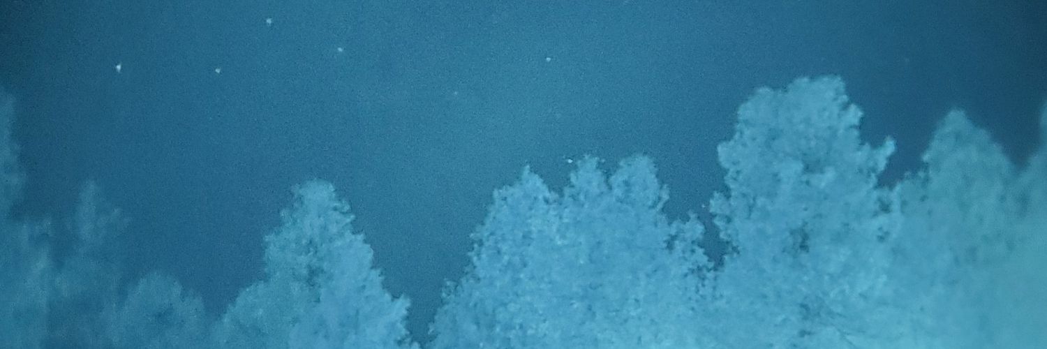 Nealasaurus's profile banner image