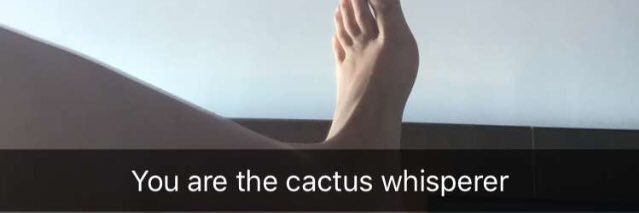 corneliyeah's profile banner image