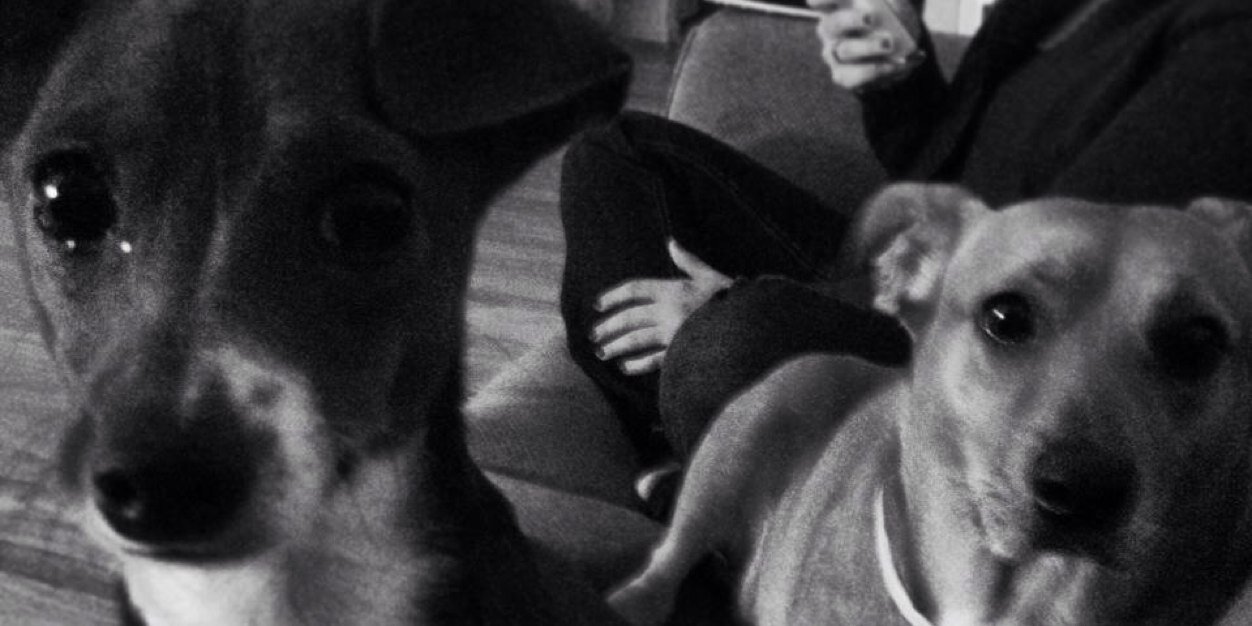 becparker1's profile banner image