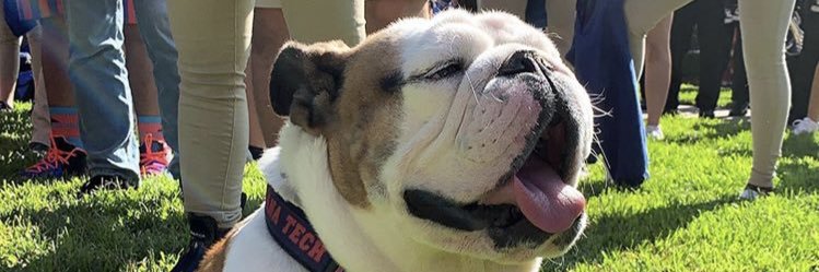 ethanbartolina_'s profile banner image
