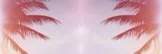 orbitmendes's profile banner image
