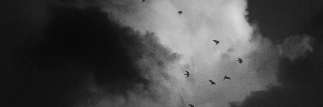HRB____15's profile banner image