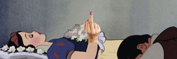 Nicole banner
