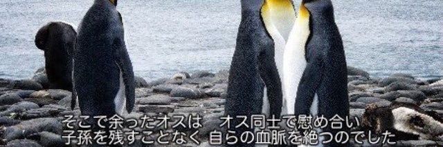 imotozyagaimo's profile banner image