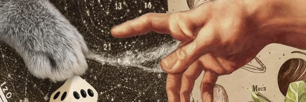 Claudia Selene banner