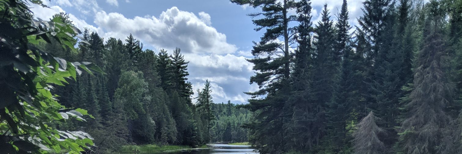 Theobanaszewski's profile banner image