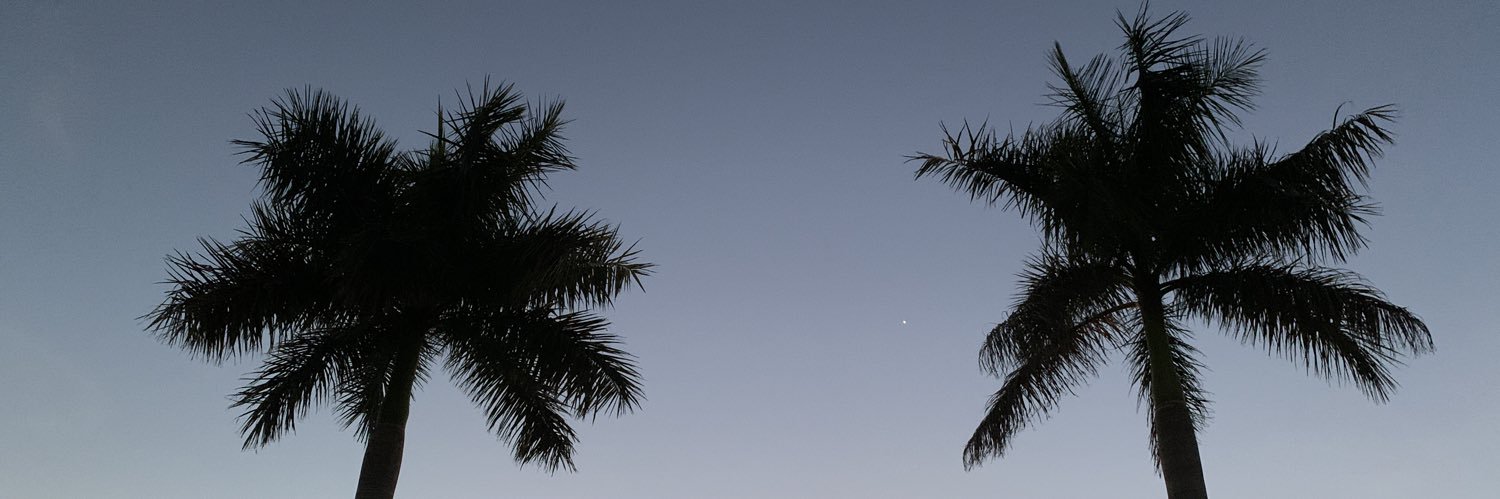 lzig_10's profile banner image