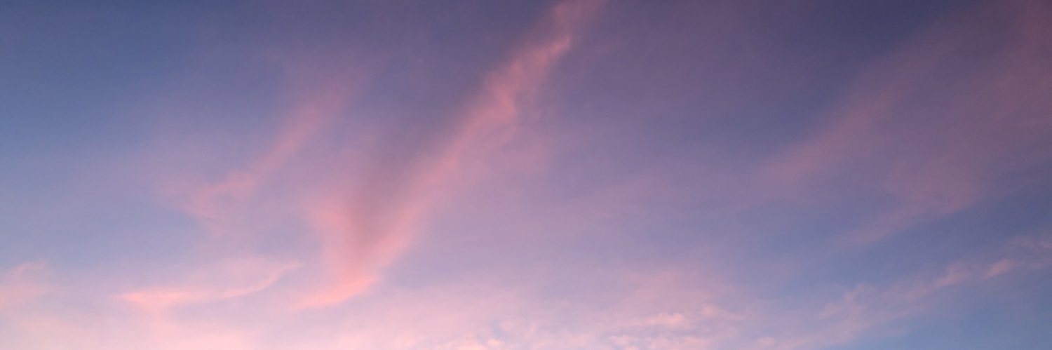 valenunes29's profile banner image