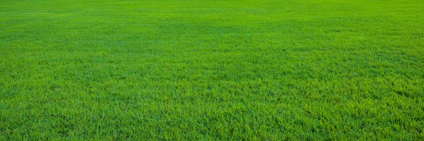 quarrtknee Profile Banner