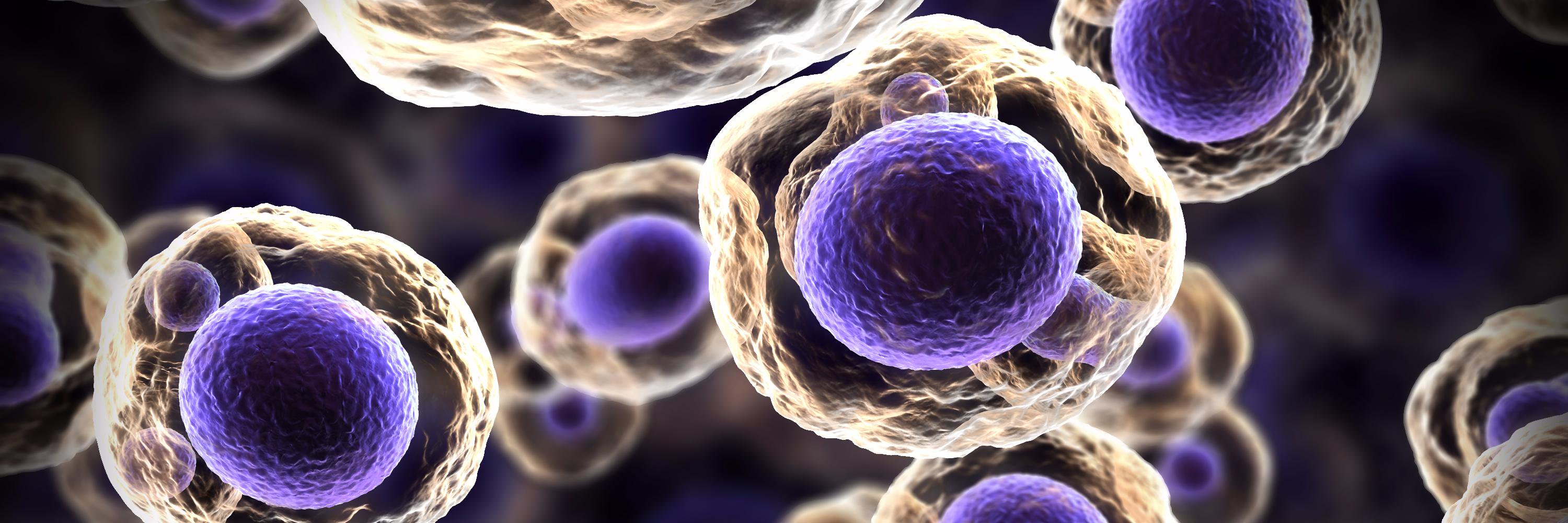 dMicrobes's profile banner image