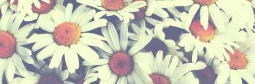 kasie__'s profile banner image