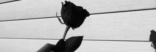 bnooo1112's profile banner image