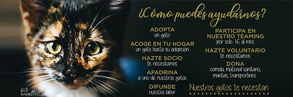 madridfelina's profile banner image