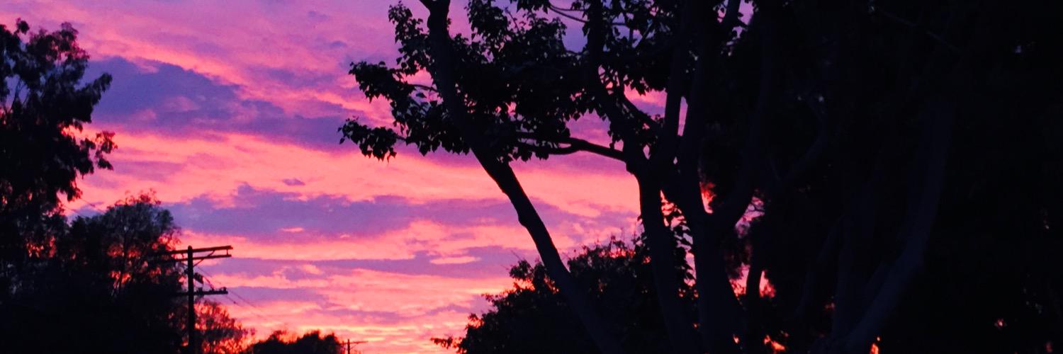 coleJenkins's profile banner image