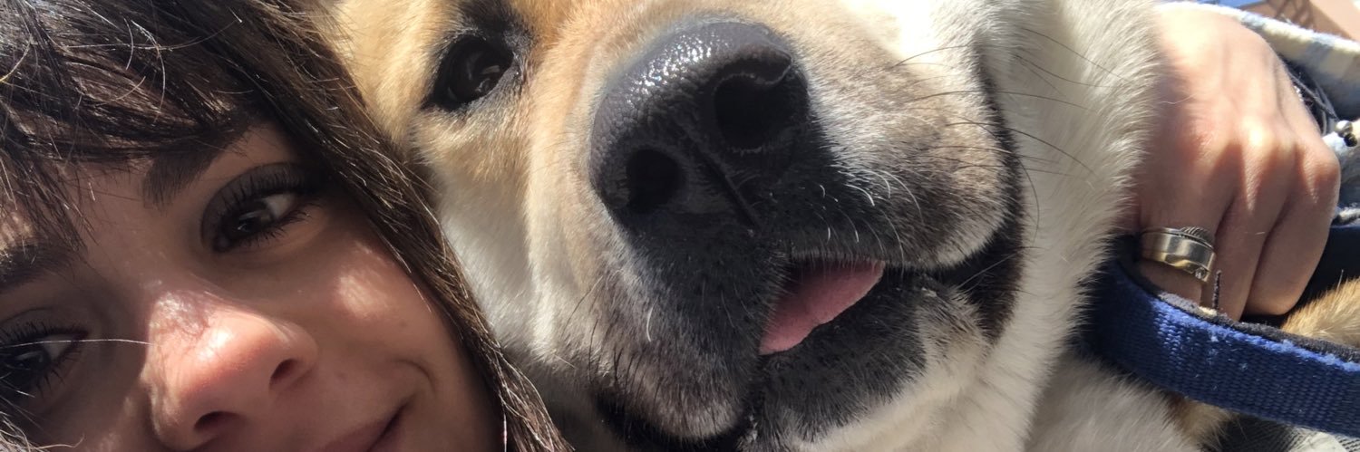 ssssss🍉 banner