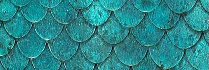 Jillian Powell-Williams banner