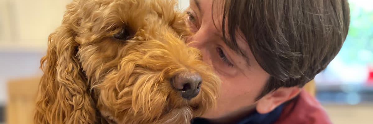 StephBeard75's profile banner image