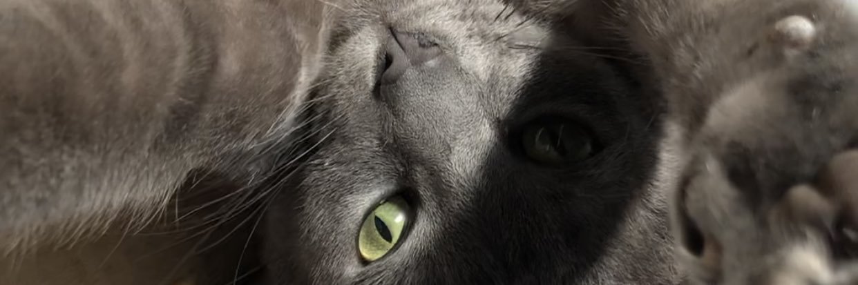 NrGrzz's profile banner image