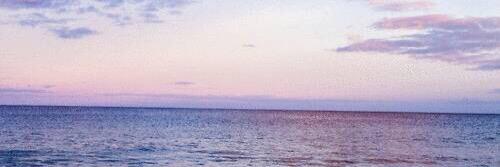 Yu___Ni_'s profile banner image