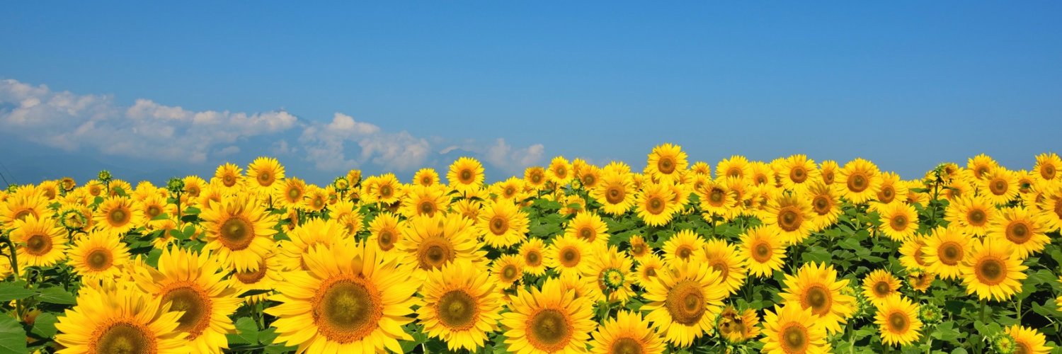 ldave82's profile banner image