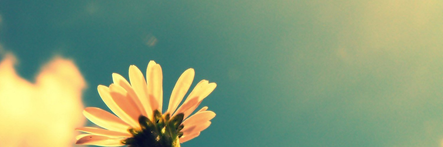 Tesu_Idur1978's profile banner image