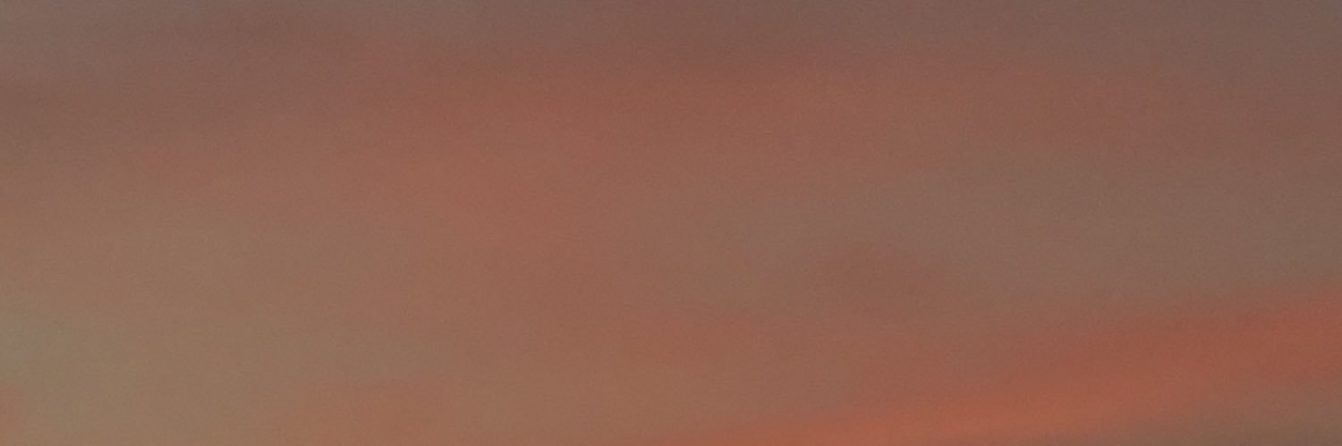 nuggetsinparis's profile banner image