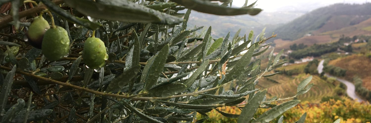 Suhanistan's profile banner image