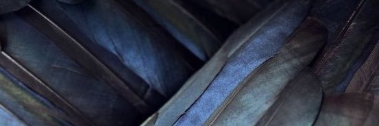 Maddnessatheart's profile banner image