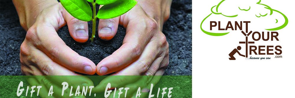 PlantYourTrees's profile banner image