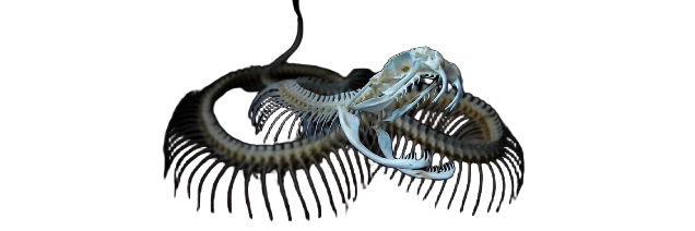 ʟᴀᴅʏ's ɪɴ ᴛʀᴏᴜʙʟᴇ ᴡɪᴛʜ ᴛʜᴇ ʟᴀᴡ banner