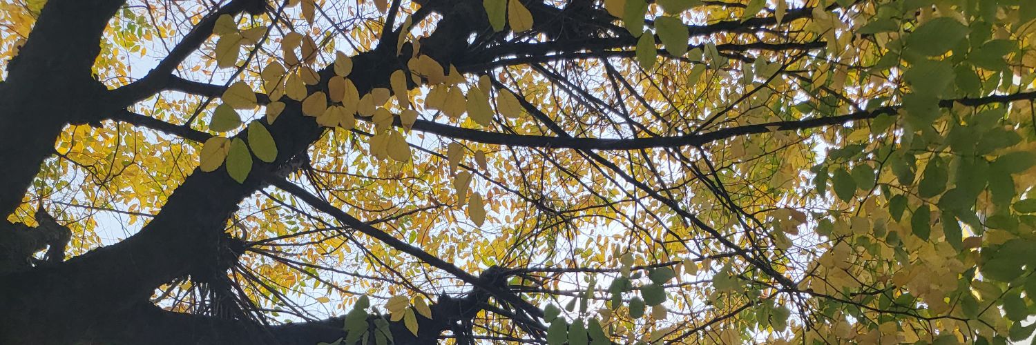 Herr_Tell_'s profile banner image