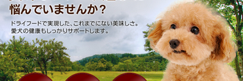 DefenceGptzssst's profile banner image