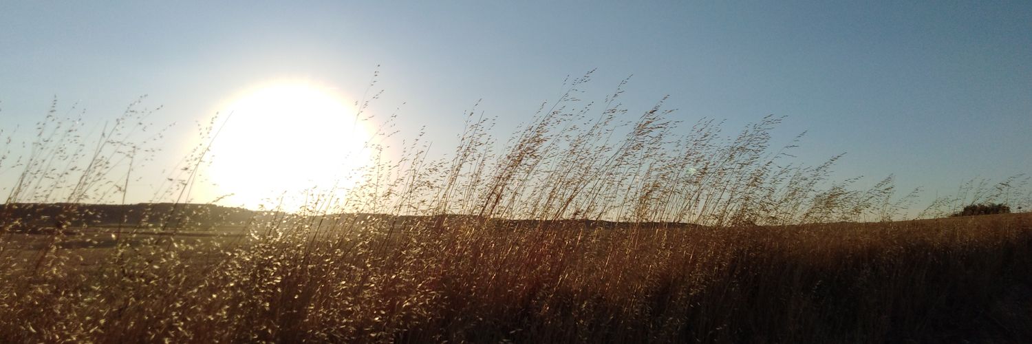 radiazmi's profile banner image