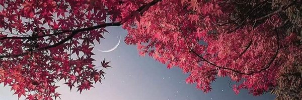 mavero_h Profile Banner