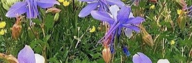 LalaMadin's profile banner image