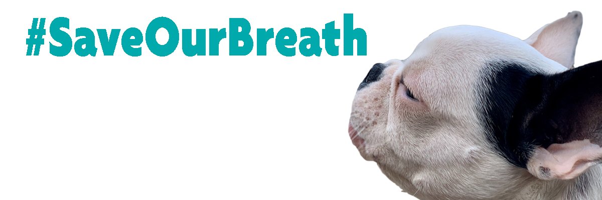 RSPCA Bromley And District banner